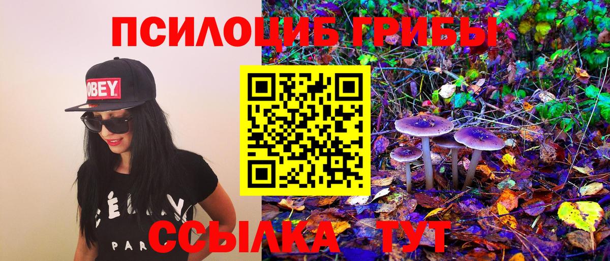 Псилоцибиновые грибы ЛСД  Вход с VPN  Лыткарино 