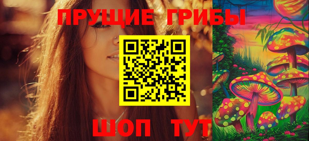 Псилоцибиновые грибы Psilocybe Лыткарино